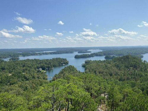 A scenic view of a lake surrounded by lush green forests and blue skies with scattered clouds.