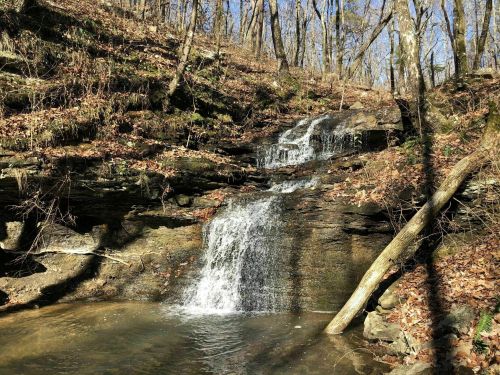 A serene waterfall cascades over rocky terrain, surrounded by trees and fallen leaves in a peaceful forest setting.