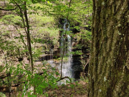 A serene waterfall cascades down rocky cliffs, surrounded by lush green trees and foliage.