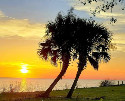 Silhouette of palm trees against a vibrant sunset over the ocean, with calm waters and a colorful sky.