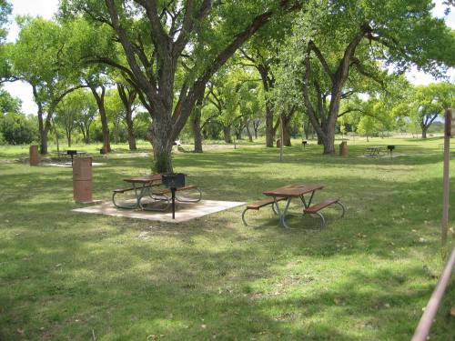 A grassy park area with picnic tables, a grill, and large trees providing shade.