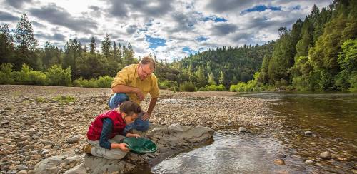 A man and a child panning for gold by a river, surrounded by trees and a cloudy sky.
