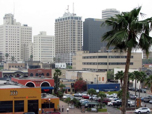 A city skyline featuring tall buildings, palm trees, and a bustling street with parked cars and shops below.