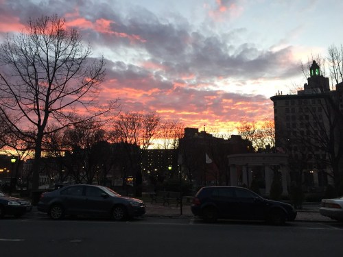 A vibrant sunset with pink and orange clouds over a city skyline, silhouetted trees, and parked cars in the foreground.
