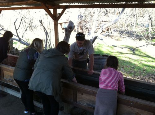 A group of people interacting with a guide at an outdoor educational setting, surrounded by trees and nature.