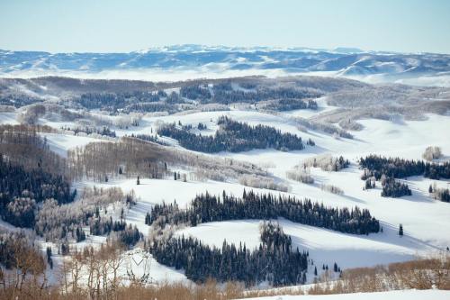 A serene winter landscape featuring snow-covered hills and evergreen trees under a clear blue sky.