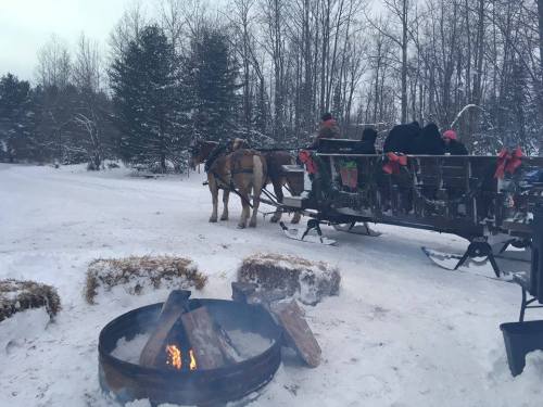 A horse-drawn sleigh in a snowy landscape, with a campfire and hay bales nearby. Trees are visible in the background.