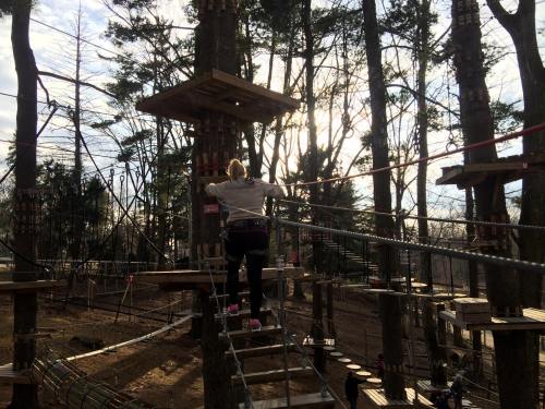 A person navigates a rope course among trees, with a platform and sunlight filtering through the branches.