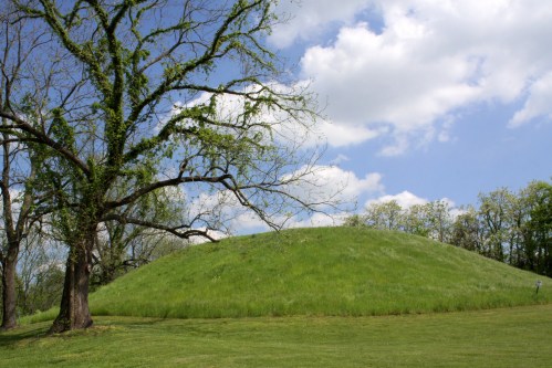 A grassy mound under a blue sky with clouds, beside a leafless tree and green foliage in the background.