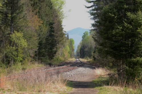 A serene view of a railway track winding through a lush forest, with mountains visible in the distance.