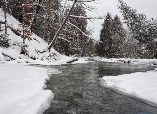 A serene winter scene featuring a winding river surrounded by snow-covered trees and a blanket of fresh snow.