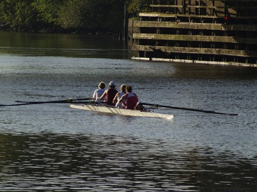 A four-person rowing crew glides across a calm river near a wooden dock surrounded by greenery.