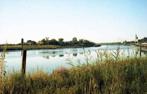 A serene river scene with tall grasses, reflecting water, and trees in the background under a clear blue sky.