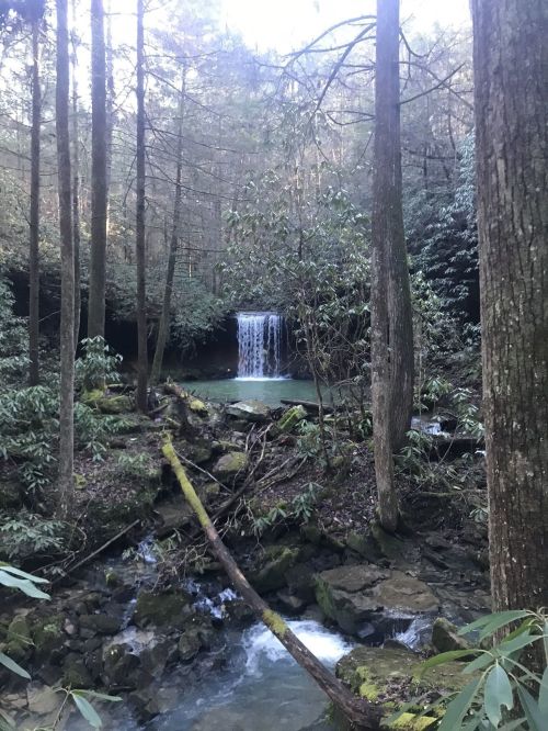 A serene forest scene featuring a waterfall cascading into a tranquil pool, surrounded by lush greenery and trees.