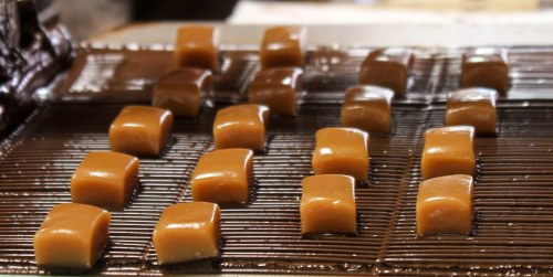 A close-up of caramel squares arranged on a chocolate-covered surface.