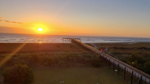 A serene sunset over the ocean, with a long pier extending into the water and lush greenery in the foreground.
