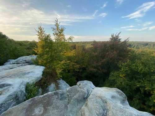 A rocky outcrop overlooks a vibrant forest with trees in shades of green and autumn colors under a blue sky.