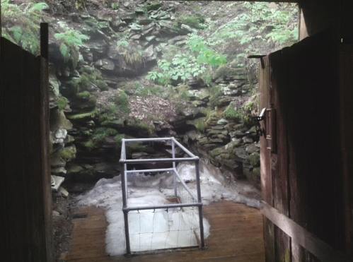 A wooden door opens to a rocky cave with a metal frame and patches of ice on the ground, surrounded by greenery.