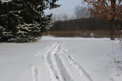 Snow-covered ground with tire tracks leading through a winter landscape, surrounded by trees and sparse vegetation.