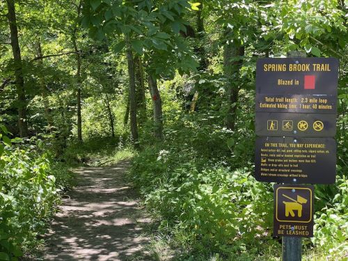 A wooded trail with a sign for Spring Brook Trail, indicating it's a 2.3-mile loop and pet leash requirements.
