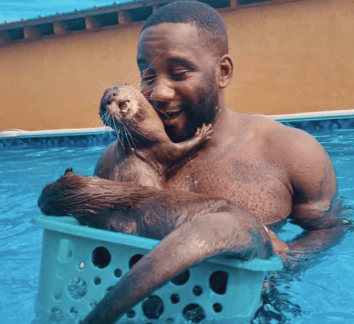 A man in a pool smiles while holding a basket with two playful otters.