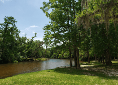 A serene river scene surrounded by lush green trees and Spanish moss under a clear blue sky.