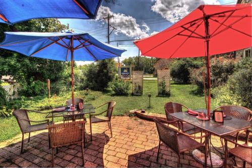 Outdoor dining area with blue and red umbrellas, tables, and a green lawn in the background under a bright sky.