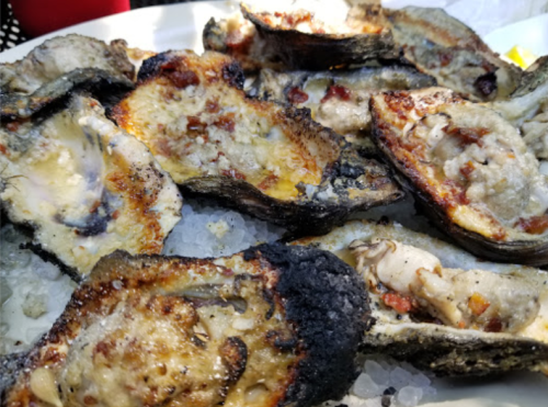 A close-up of grilled oysters on a bed of ice, showcasing their charred edges and creamy filling.