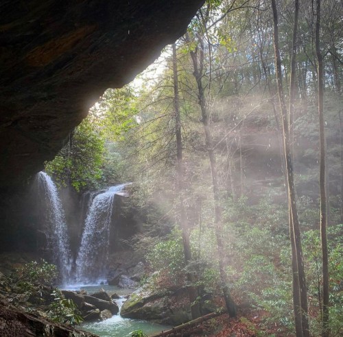 A serene waterfall cascades through lush greenery, with soft mist rising in a tranquil forest setting.
