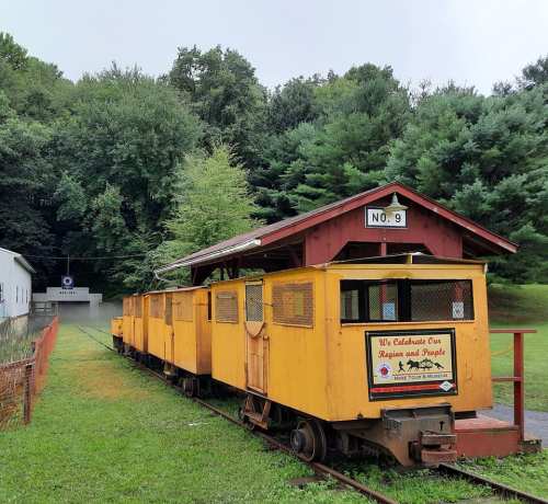A row of yellow train cars parked at a small station surrounded by green trees and grass.