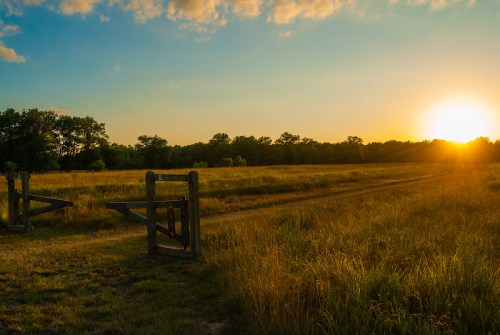 A serene landscape at sunset, featuring a grassy field, a wooden gate, and trees in the background.