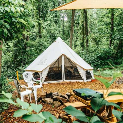 A white tent in a lush green forest, surrounded by chairs and a fire pit, with a sunny canopy overhead.