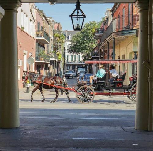 A horse-drawn carriage passes through a historic street lined with balconies and colorful buildings.