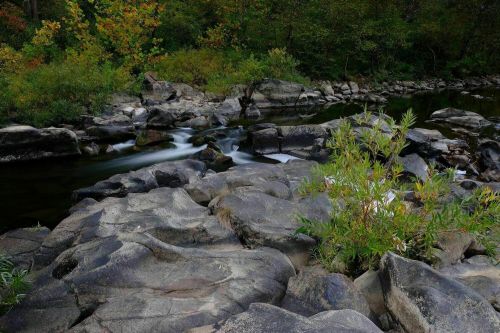 A serene river flows over smooth rocks, surrounded by lush greenery and autumn-colored trees.