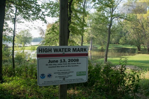 Sign marking the high water level of the Cedar River, dated June 13, 2008, surrounded by trees and water.