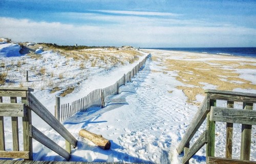 A snowy beach scene with a wooden fence leading to the ocean under a clear blue sky.