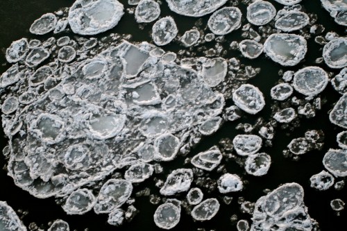 Aerial view of large and small ice formations floating on dark water.