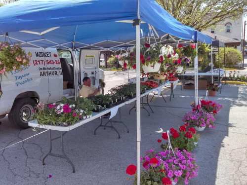 A flower market under a blue tent, with colorful plants and flowers displayed on tables, and a vendor sitting nearby.