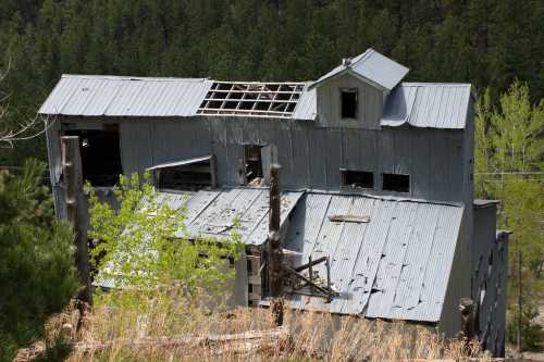 An old, dilapidated building with a metal roof, partially collapsed, surrounded by trees and overgrown grass.