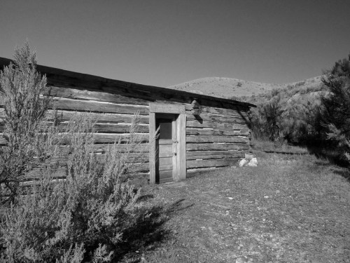 A weathered log cabin stands in a grassy area, surrounded by shrubs and hills in the background, in black and white.