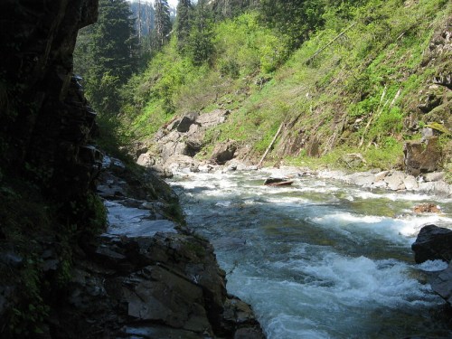 A rushing river flows through a rocky landscape, surrounded by lush green trees and steep, mossy banks.
