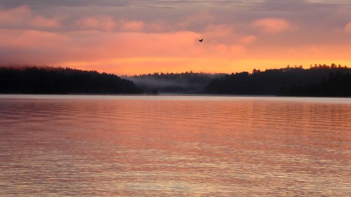 A serene lake at sunset, with soft pink and orange hues reflecting on the water and mist rising from the shore.
