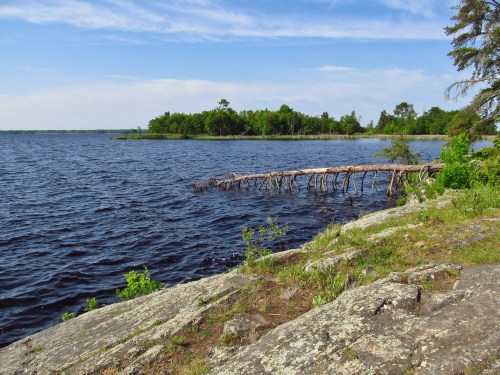 A serene lakeside view with a rocky shore, green trees, and a fallen tree extending into the calm water under a blue sky.