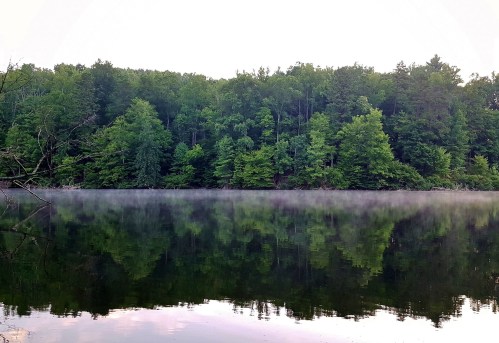 A serene lake surrounded by lush green trees, with mist rising gently from the water's surface at dawn.