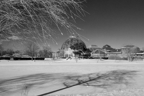 A winter scene featuring a large glass conservatory surrounded by snow and bare trees, with shadows cast on the ground.