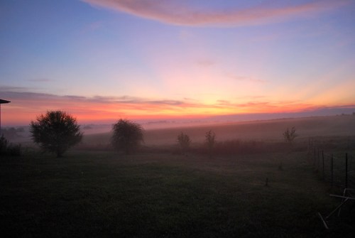 A serene landscape at dawn, featuring a colorful sky with mist over a grassy field and silhouetted trees.