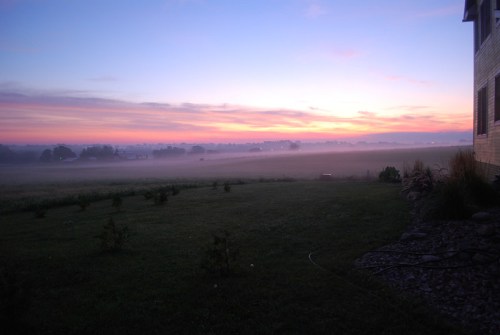 A serene sunrise over a misty field, with soft pink and purple hues in the sky and a grassy foreground.
