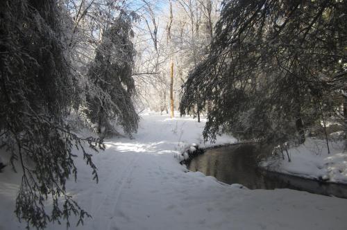 A snowy forest path beside a gently flowing creek, surrounded by frosted trees under a clear blue sky.