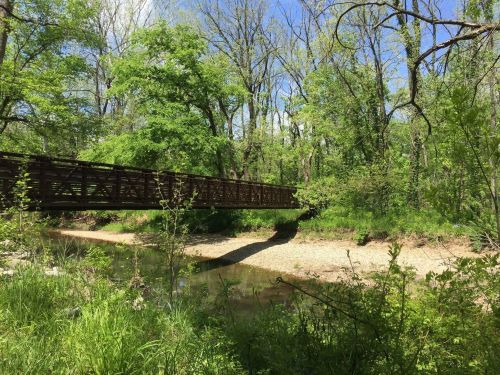 A wooden bridge spans a creek surrounded by lush green trees and foliage under a clear blue sky.