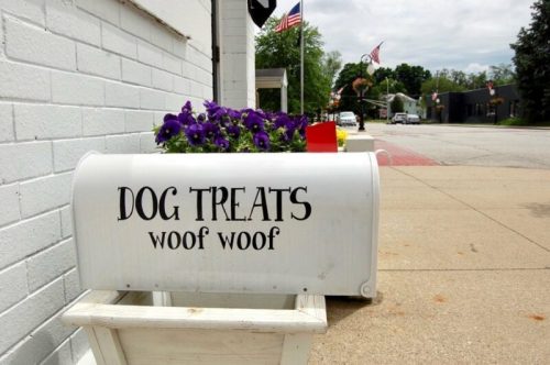 A white mailbox labeled "DOG TREATS woof woof" with purple flowers planted beside it on a sidewalk.